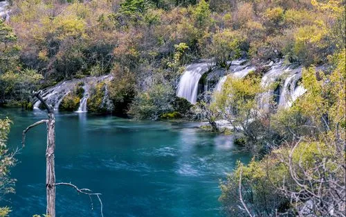 高效高效